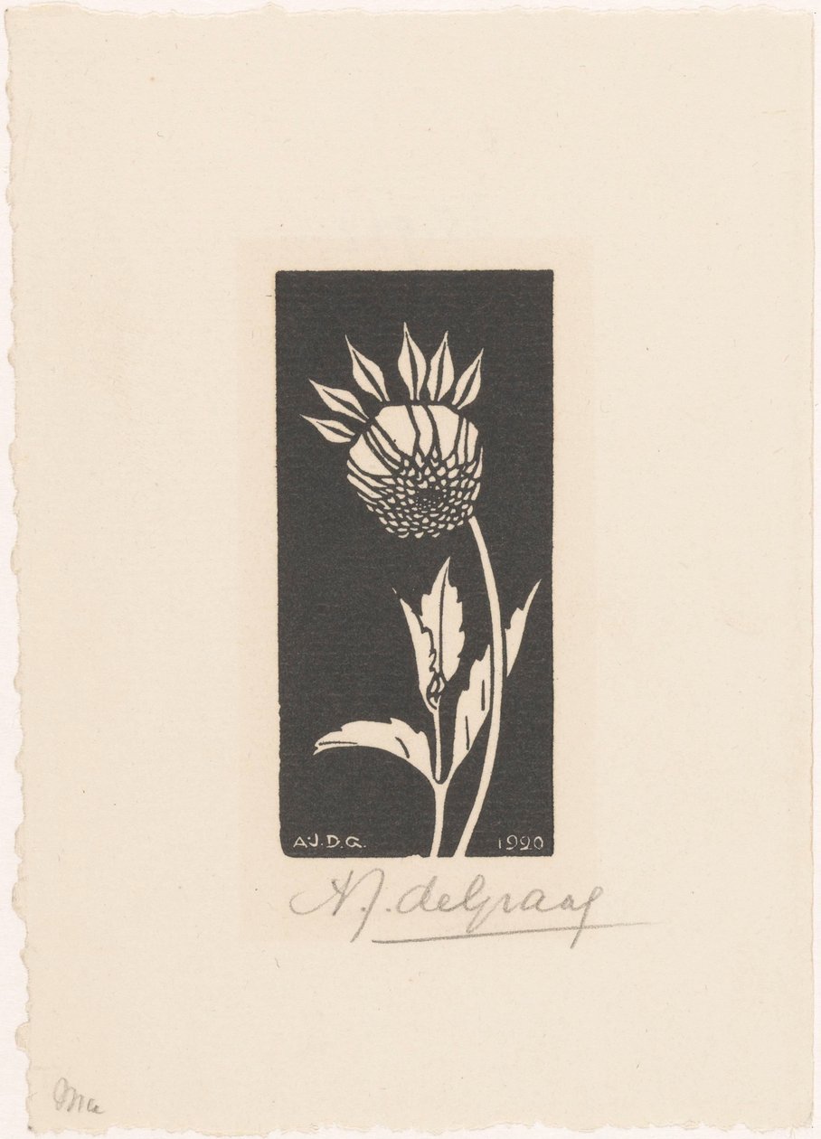 Dahlia de Julie de Graag (signed by artist)