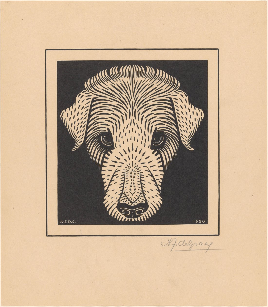 Cabeza de perro de Julie de Graag (signed by artist)
