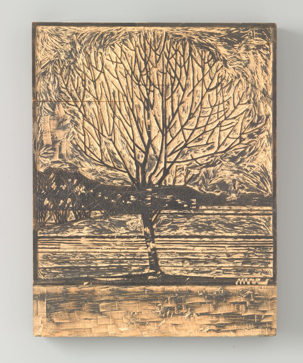 auge de la col rizada de Julie de Graag (signed by artist)