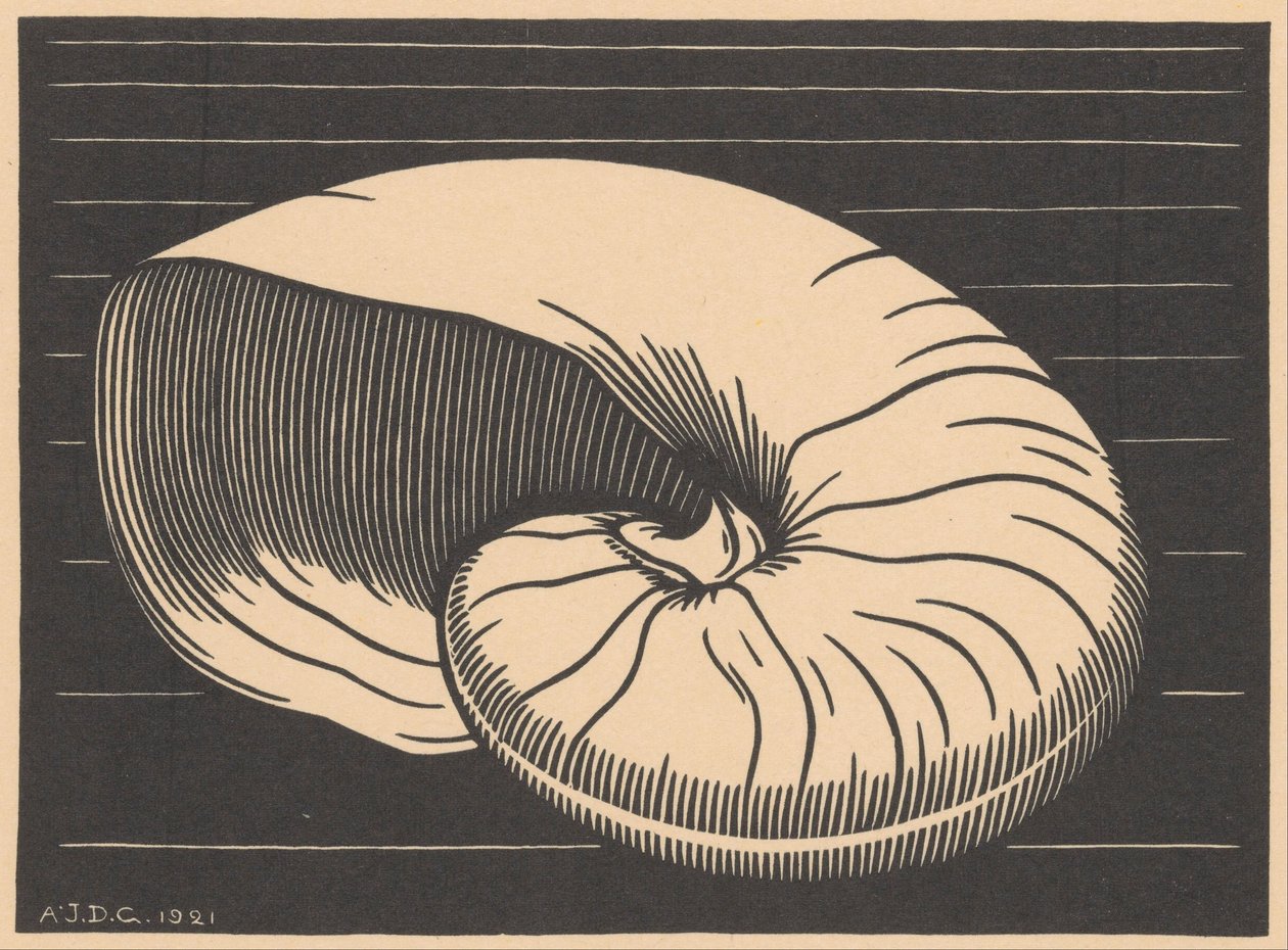 Schelp de Julie de Graag (signed by artist)