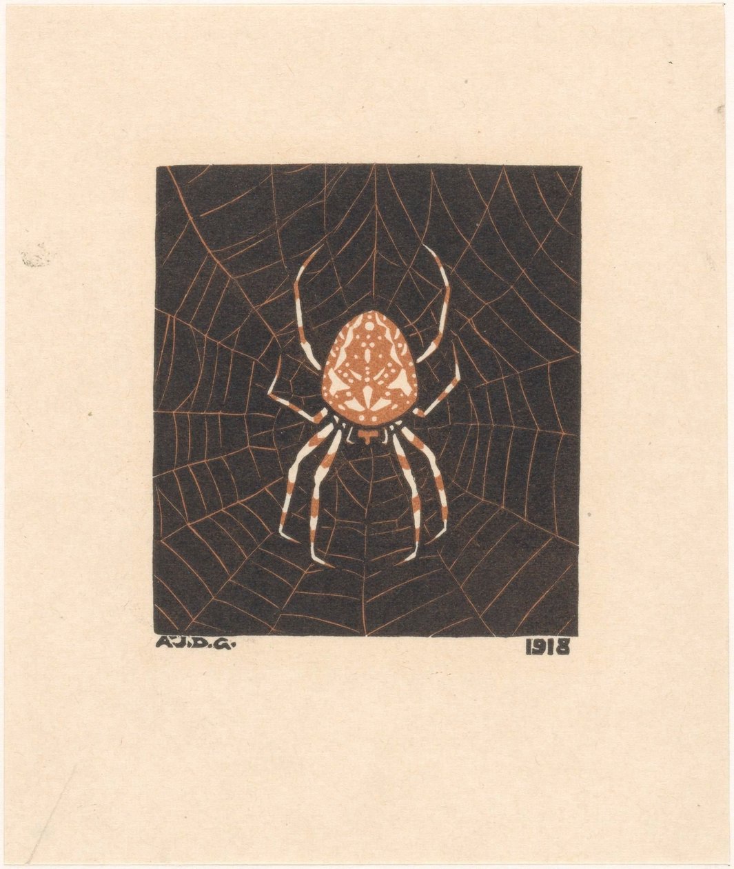 Araña en una telaraña de Julie de Graag