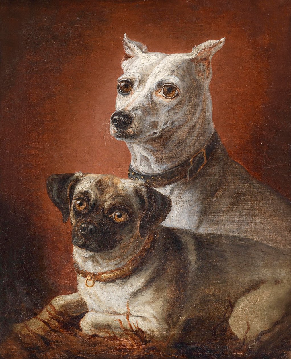 Retrato de perro de Julius Hamburger