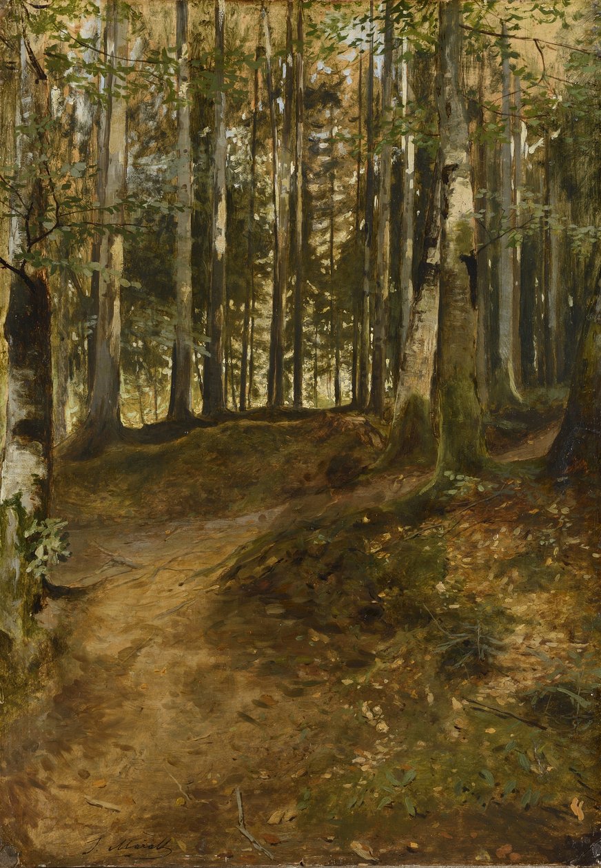 Camino forestal de Julius Mařák