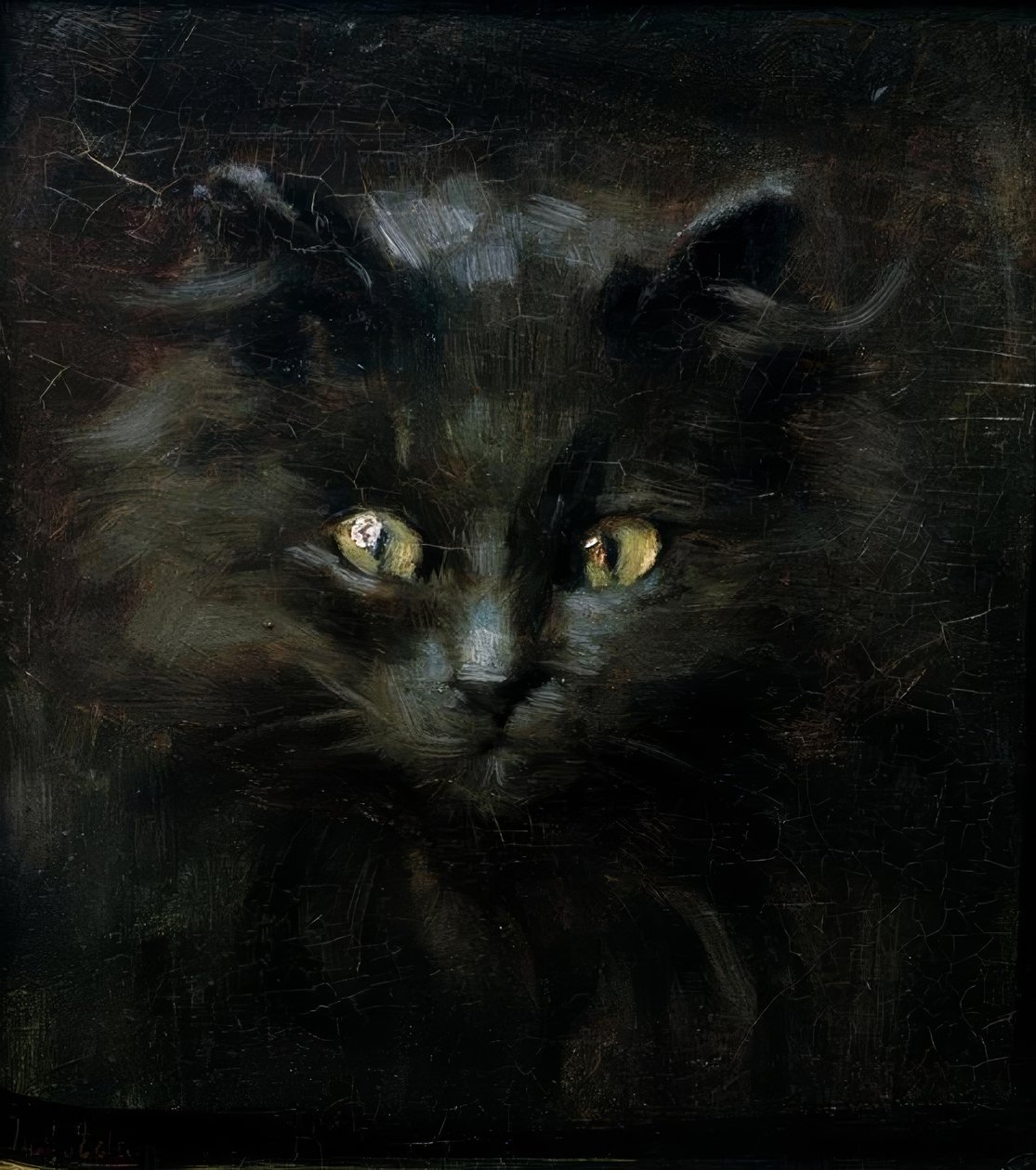 Retrato de un gato de Julius Adam