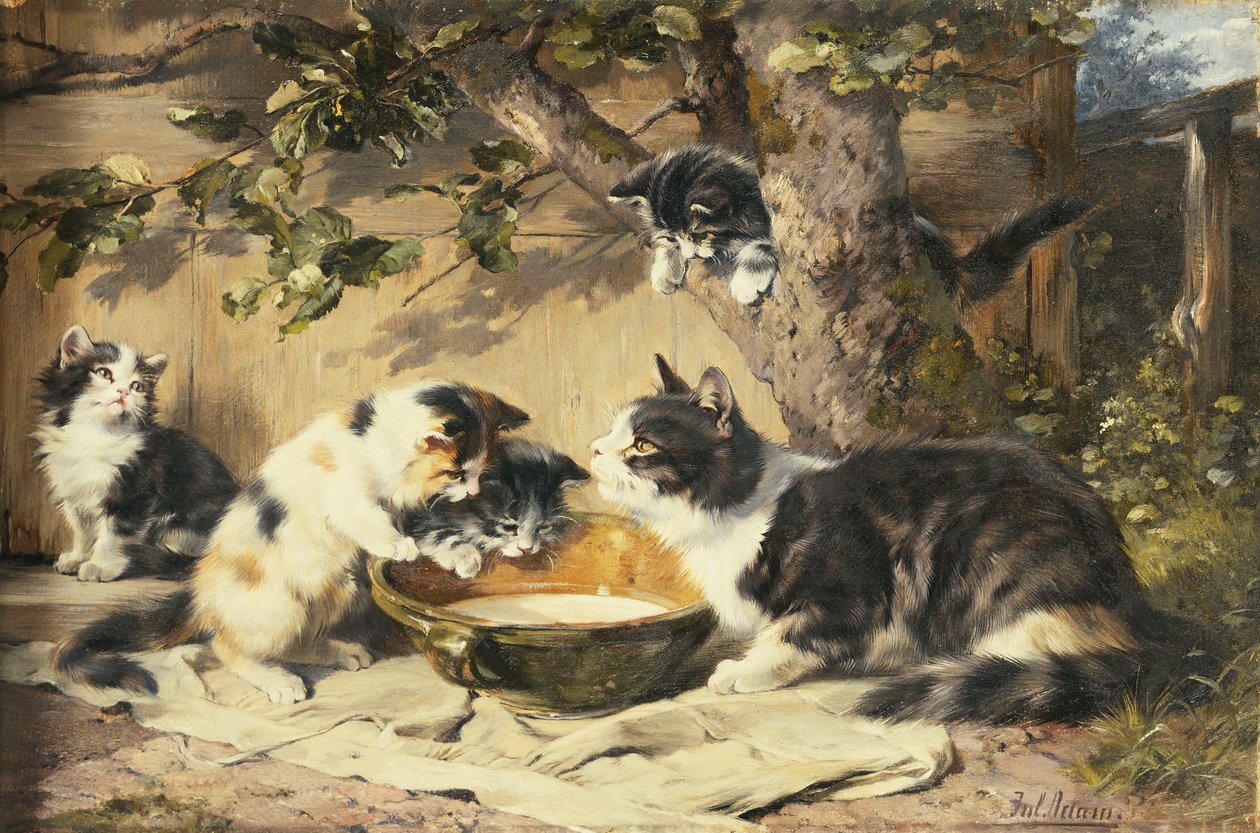 El Cuenco de Leche de Julius Adam
