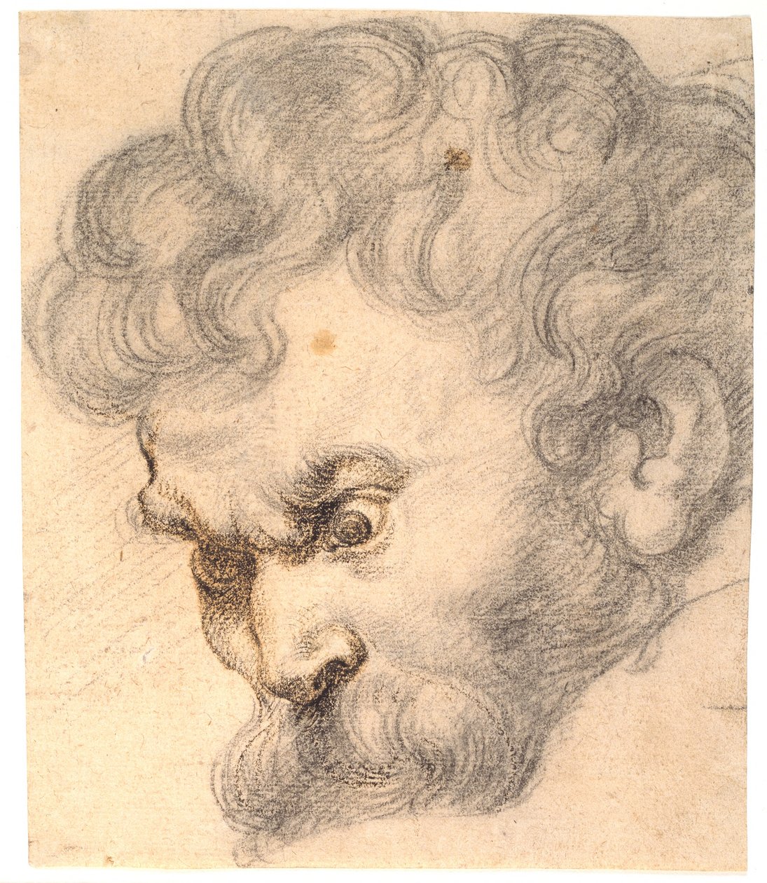 Estudio de "Sansón y el león". Rostro de Sansón de KKSgb5627 Ubekendt