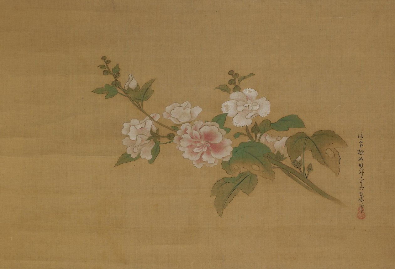 Una rama de hibisco floreciente, período Edo de Kanō Tan’yū