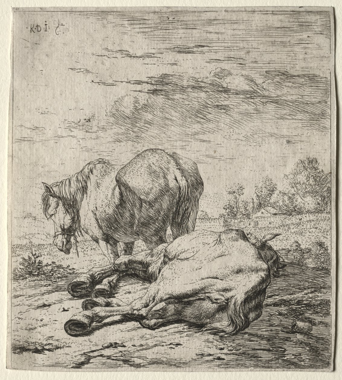 Los dos caballos de Karel Dujardin