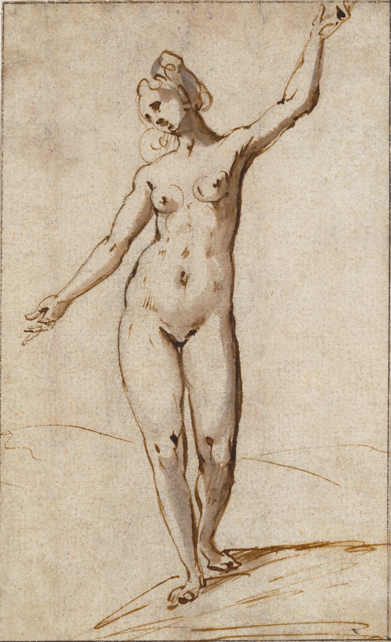 Desnudo femenino de Karel Van Mander