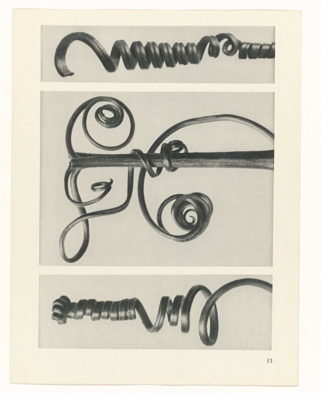 estudio de planos Arquetipos del arte (título de la serie) de Karl Blossfeldt