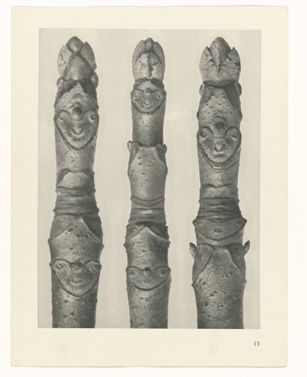 estudio de planos Arquetipos del arte (título de la serie) de Karl Blossfeldt