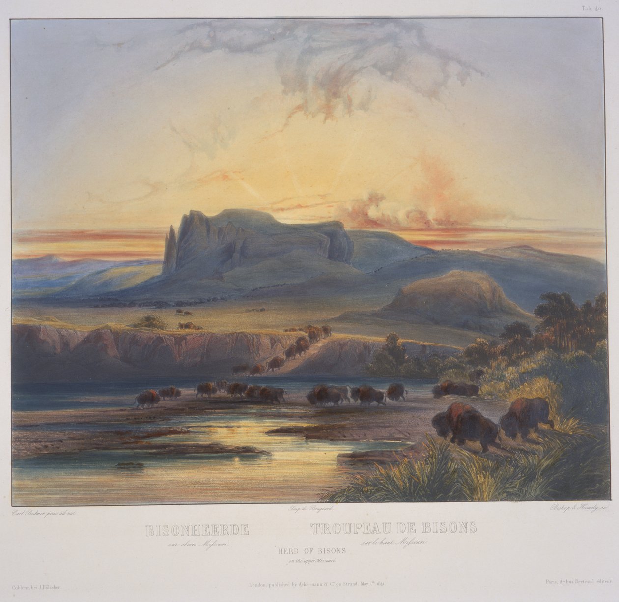 Manada de bisontes en el Alto Missouri de Karl Bodmer