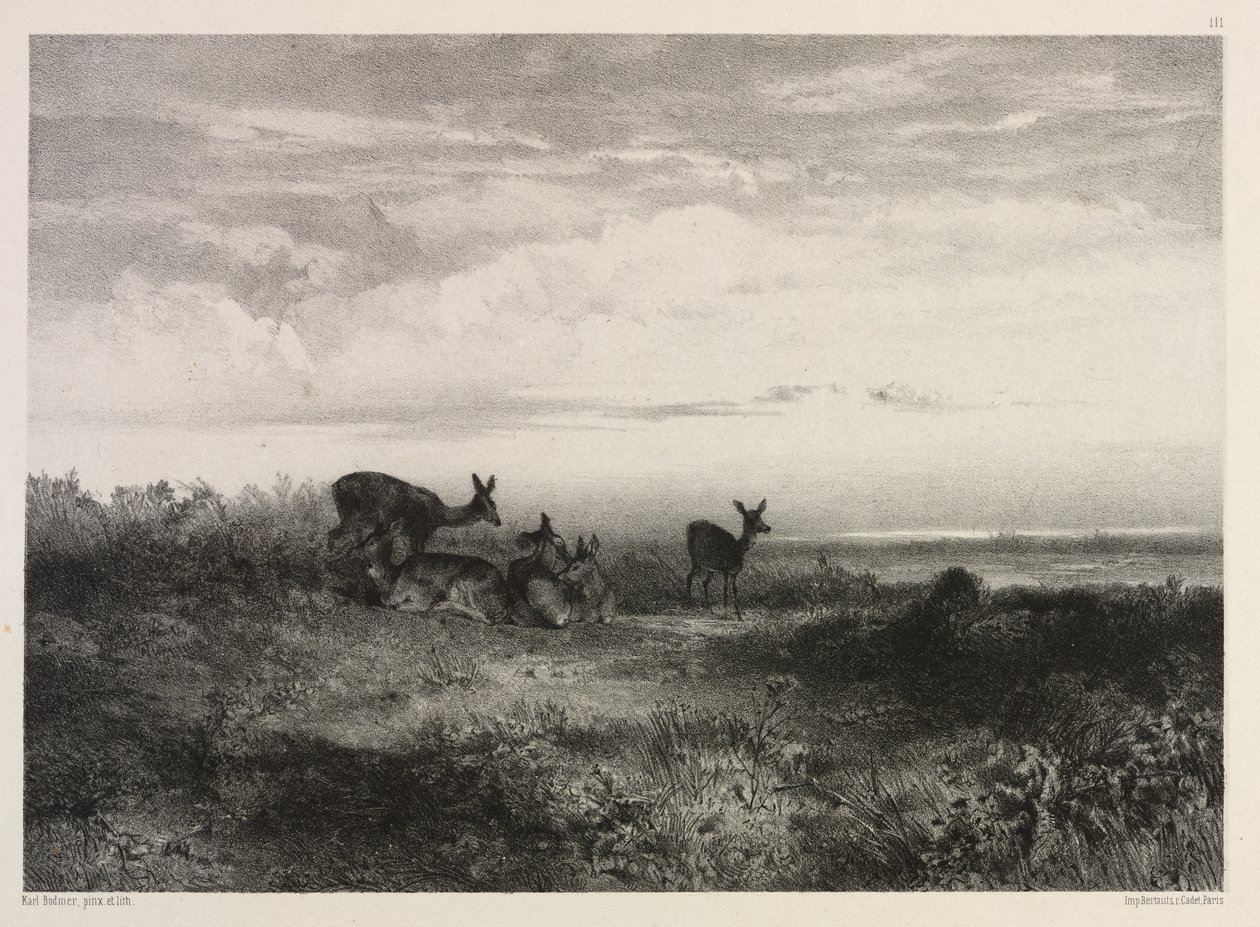 Landscape with Deer de Karl Bodmer