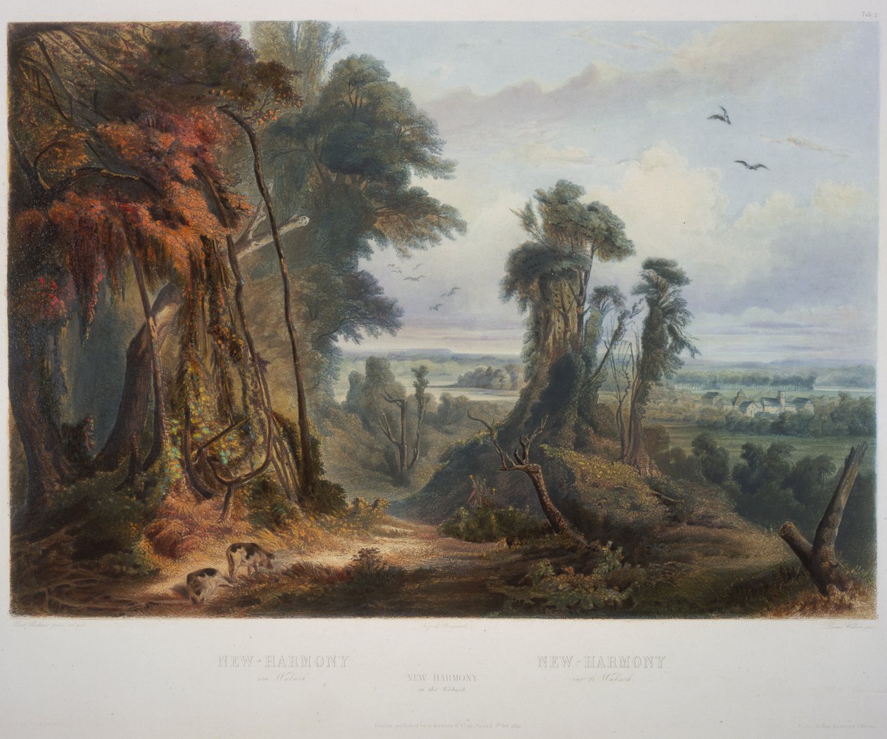 Nueva Armonía en el Wabash de Karl Bodmer