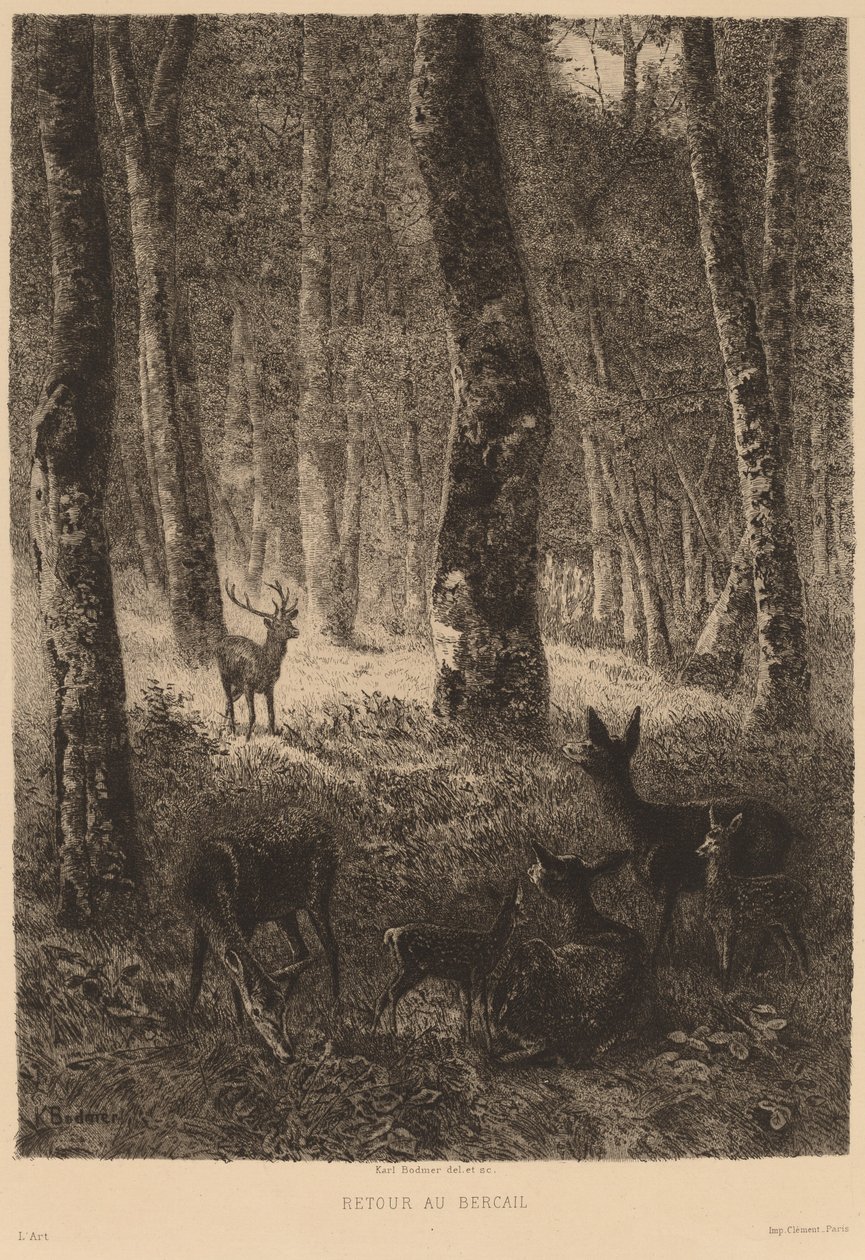 Retour au Bercail de Karl Bodmer