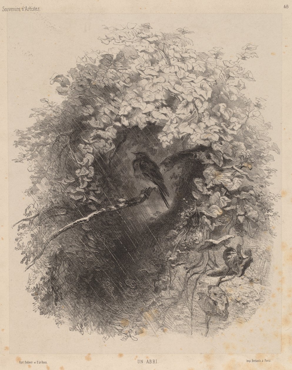 Un refugio de Karl Bodmer