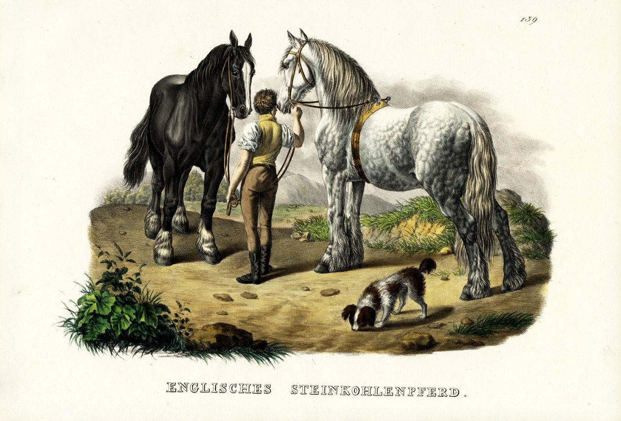 Caballo de mina inglés, 1824 de Karl Joseph Brodtmann