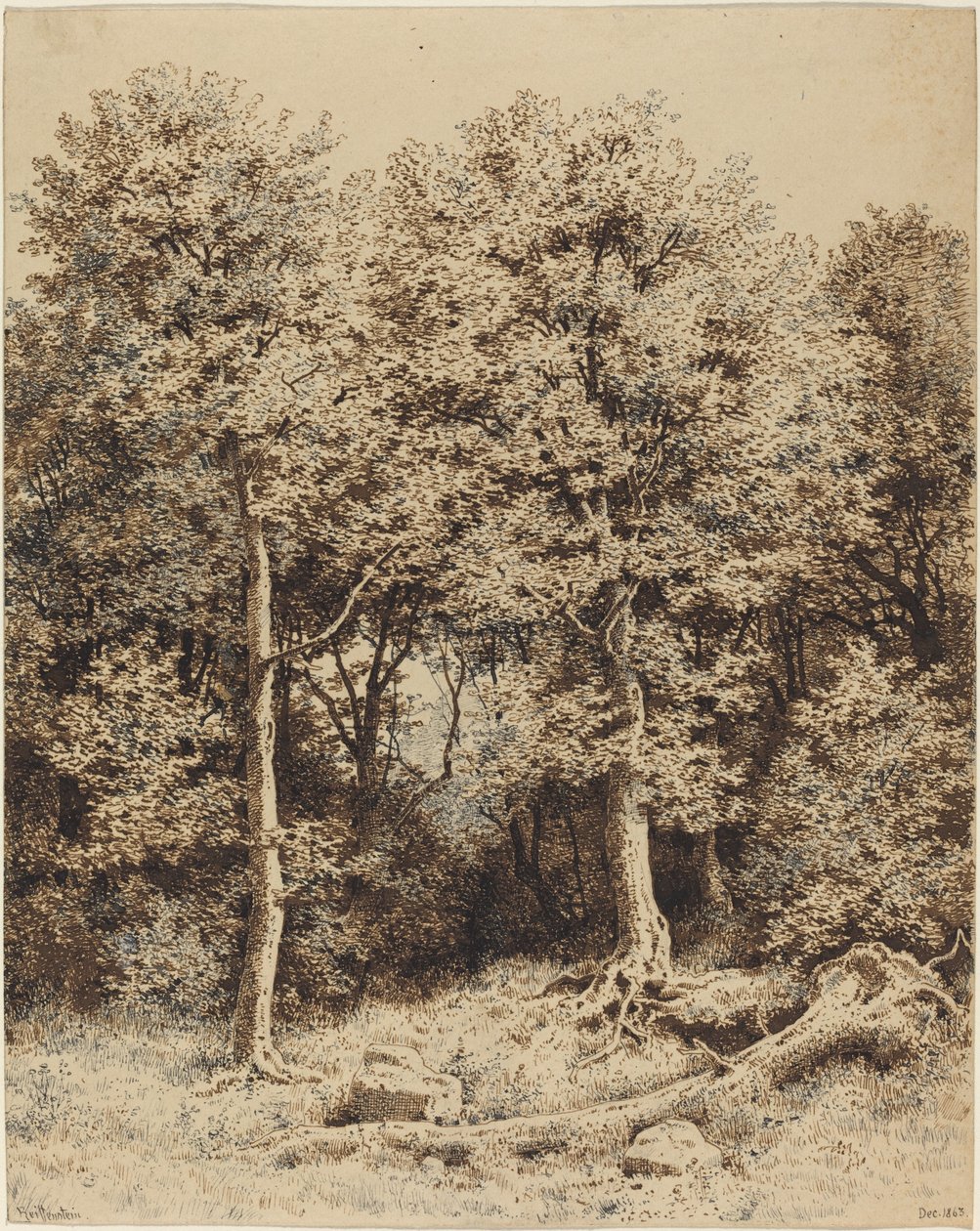 Un bosquecillo de árboles de Karl Theodor Reiffenstein