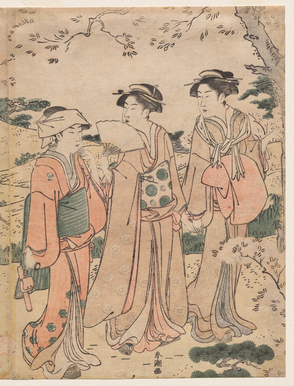 Mujeres Contemplando los Cerezos en Flor en Asukayama de Katsukawa Shuncho