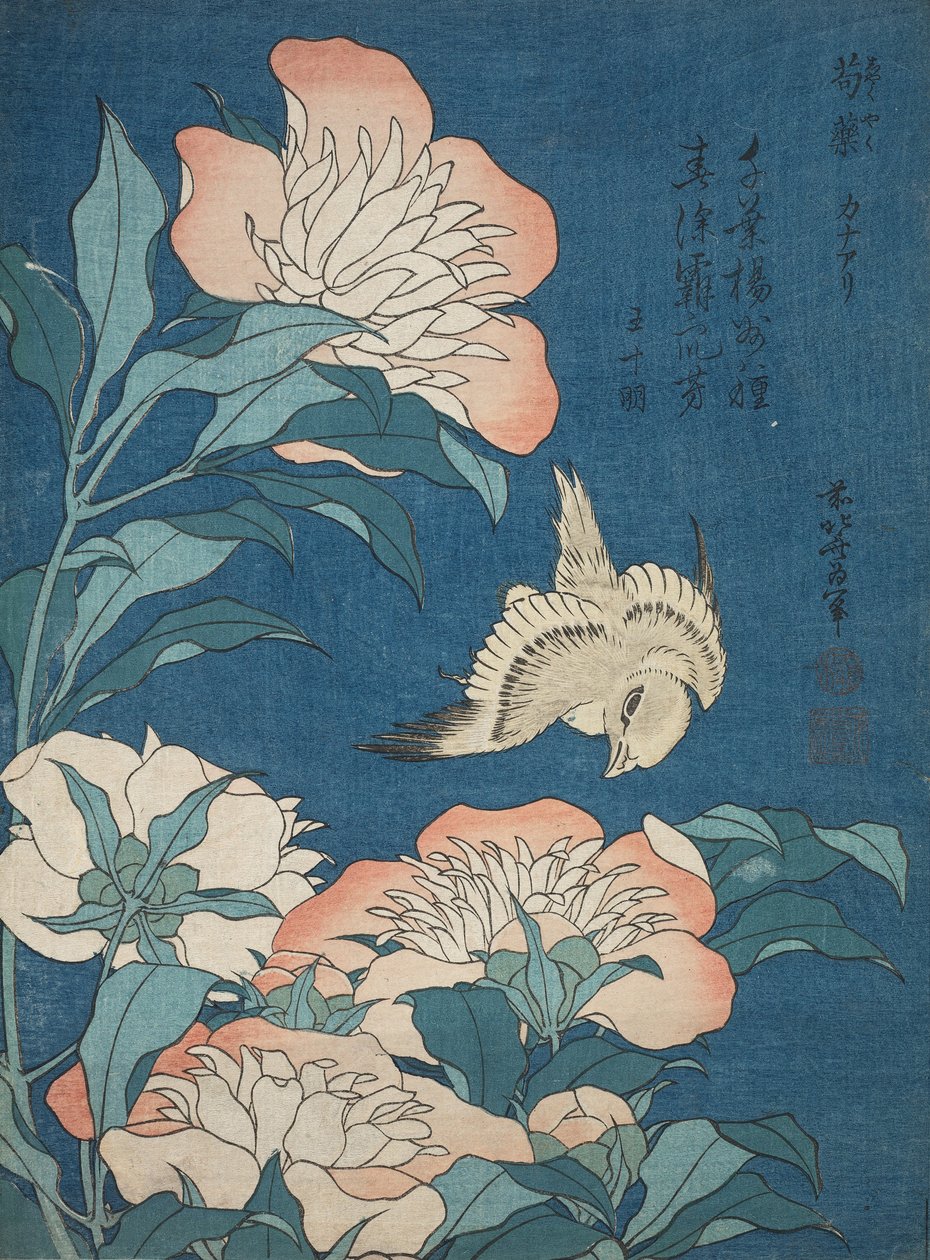 Peonías y Canario (Shakuyaku, kanaari), de una serie sin título conocida como Pequeñas Flores de Katsushika Hokusai