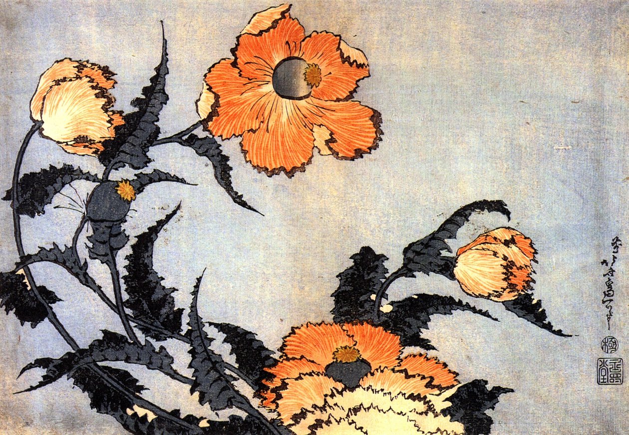 Amapolas de Katsushika Hokusai