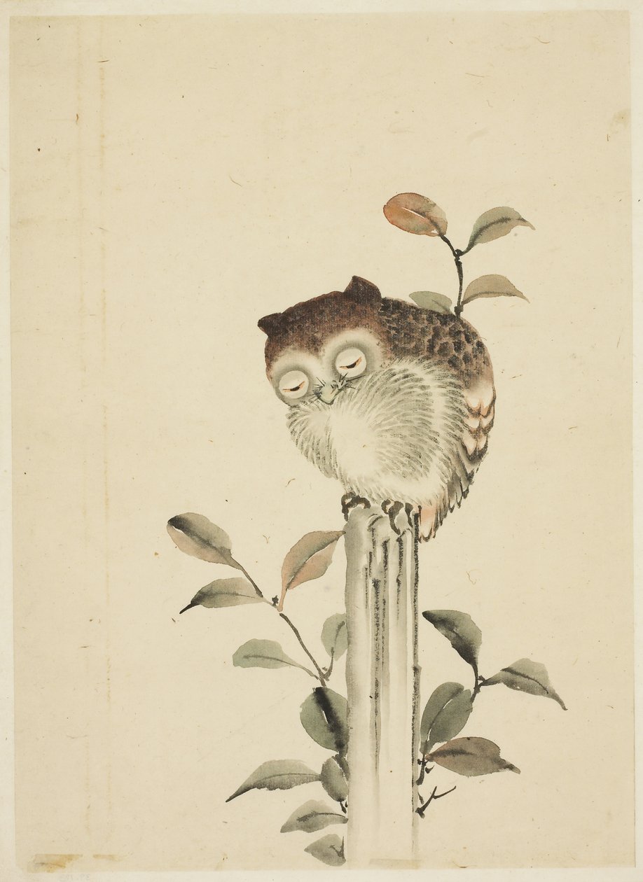 Búho dormido en un tocón de Katsushika (school of) Hokusai