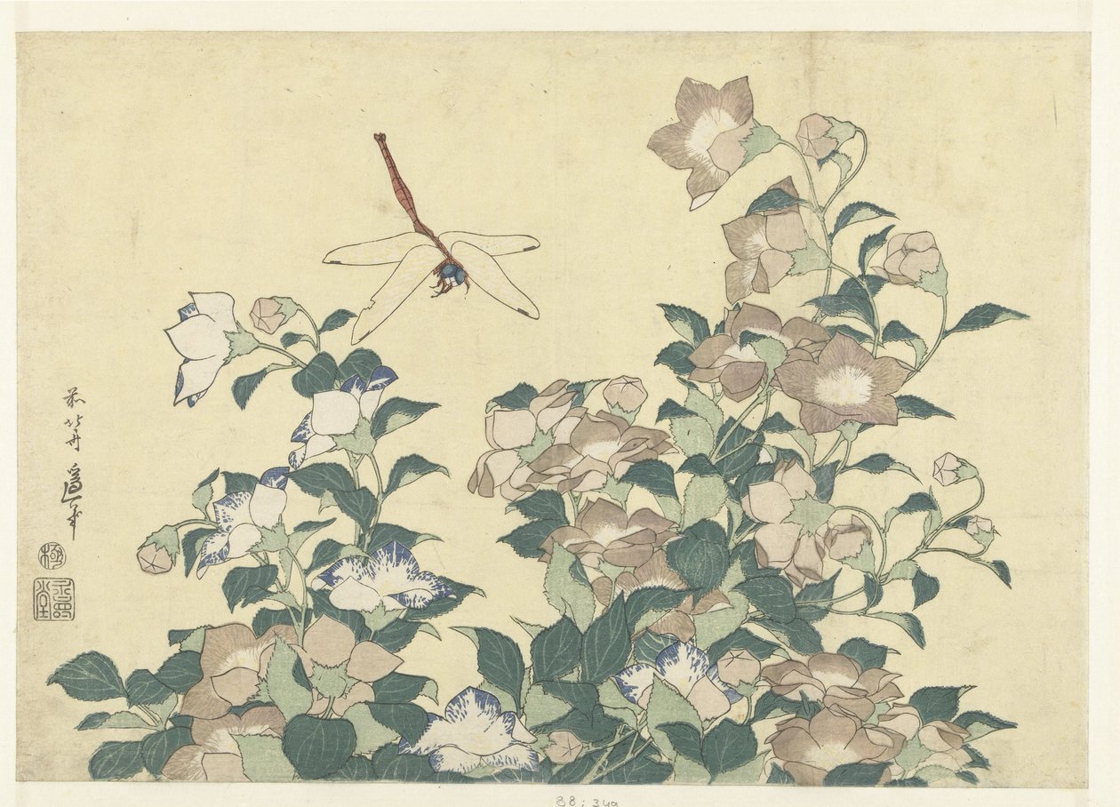Campana de globo y libélula de Katsushika Hokusai