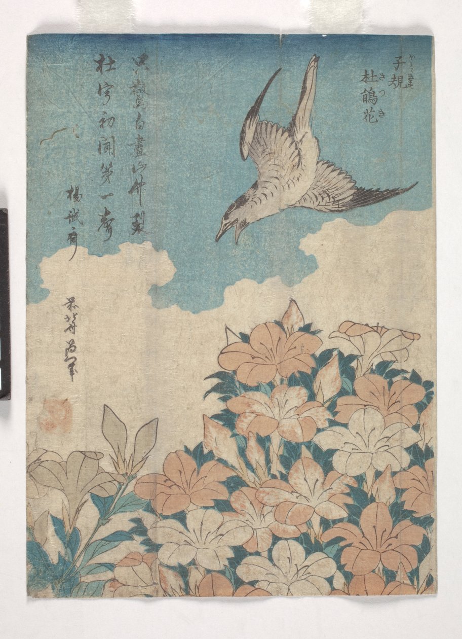 Cuco y azalea (xilografía en color) de Katsushika Hokusai
