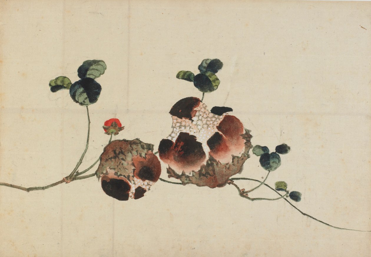 Granadas, finales del siglo XVIII-principios del siglo XIX de Katsushika Hokusai