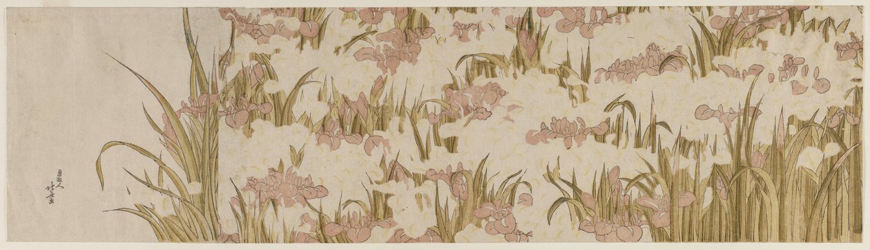 Iris blancos y púrpuras de Katsushika Hokusai