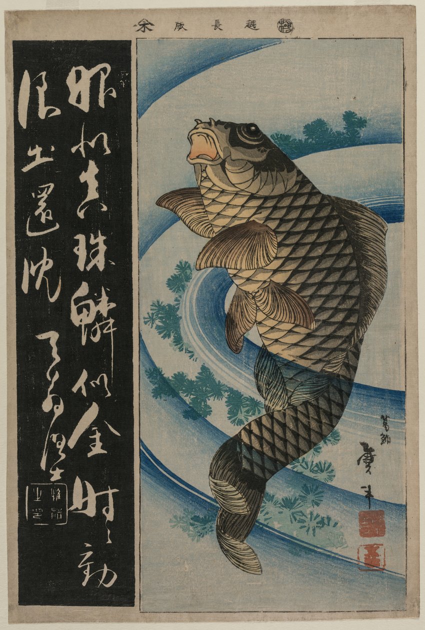 Carpa y algas de Katsushika Taito II