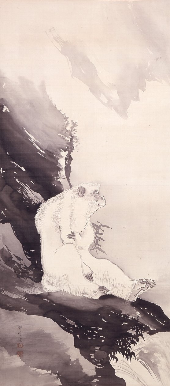 White Monkey (tinta sobre seda) de Kawabata Gyokushō