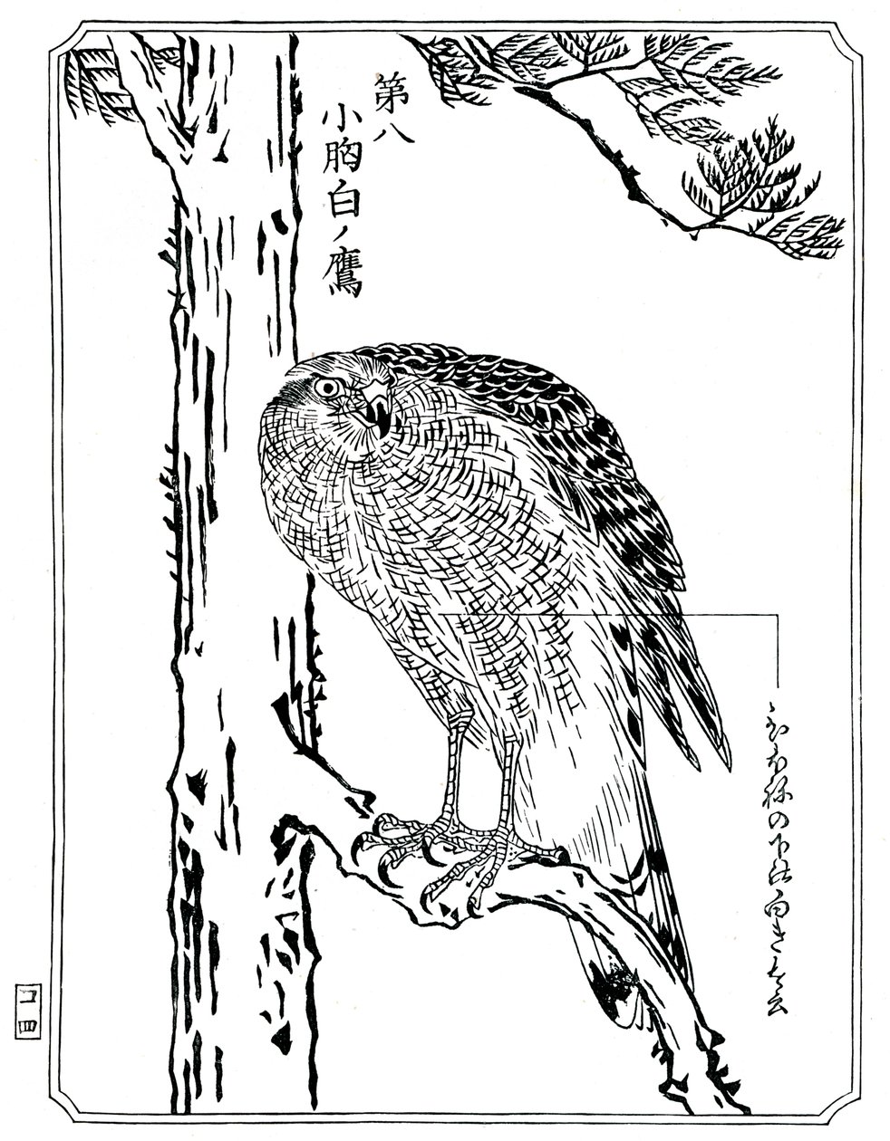 Un halcón, 1898 de Kawanabe Kyosai