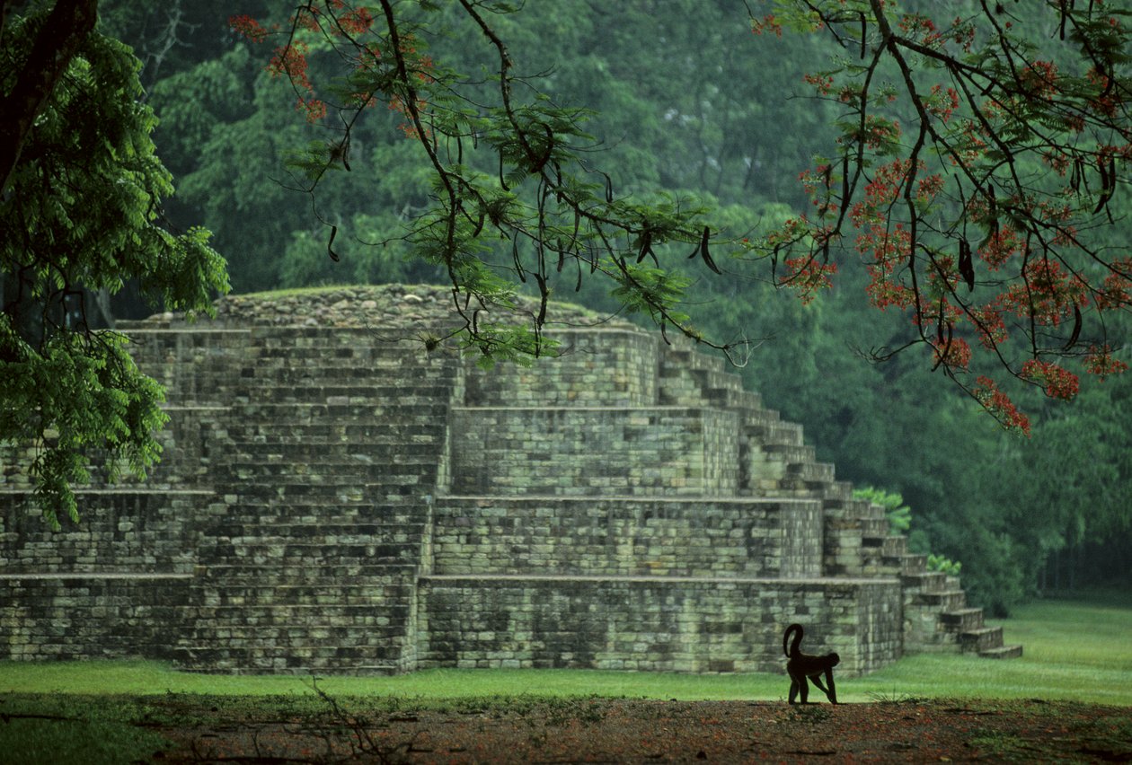 Honduras; Copán; Maya de Kenneth Garrett