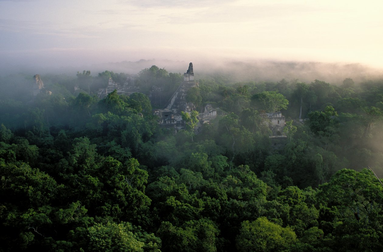 Maya; Tikal; Guatemala de Kenneth Garrett