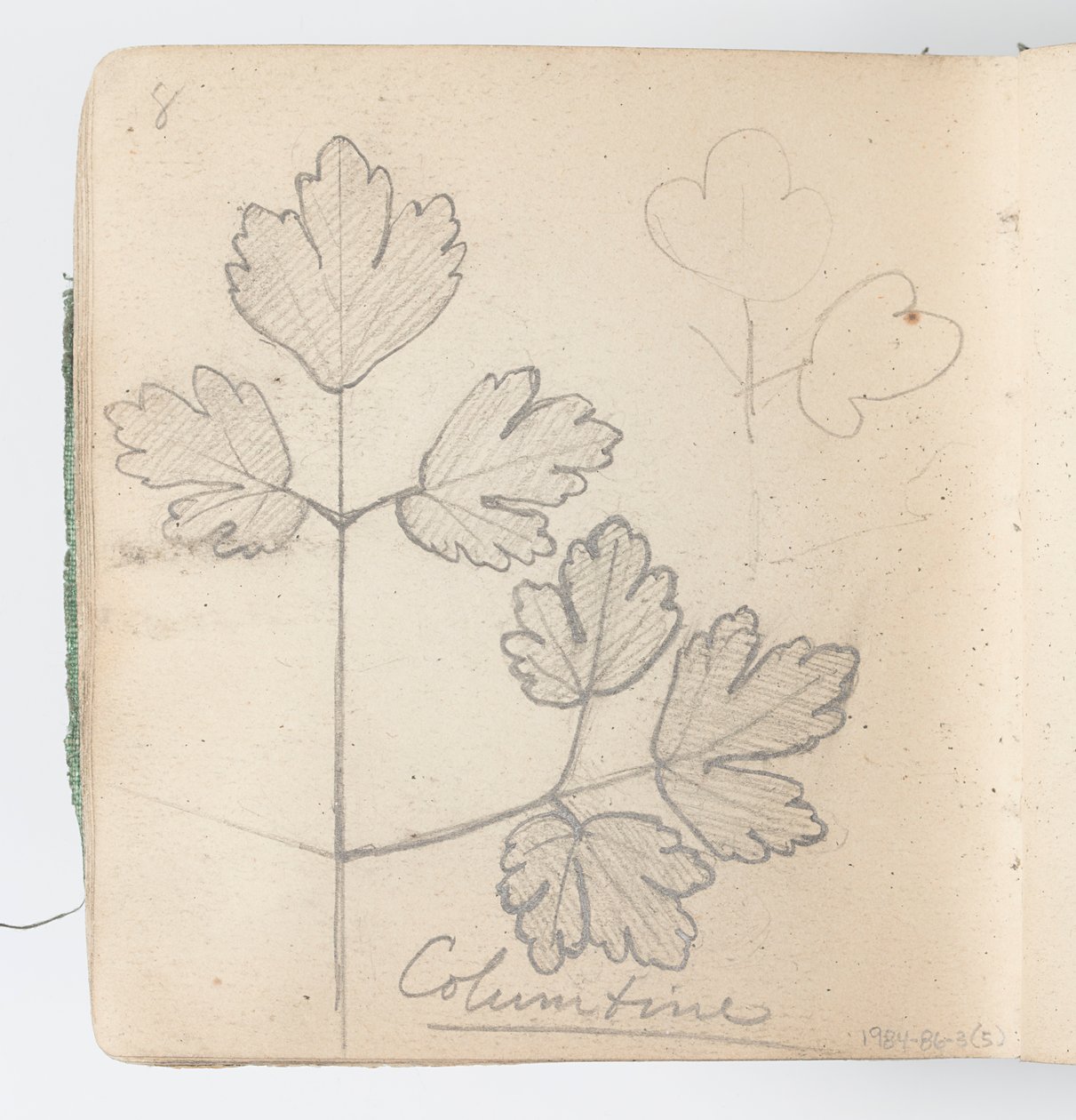Página de Cuaderno de Bocetos: Columbina de Kenyon Cox