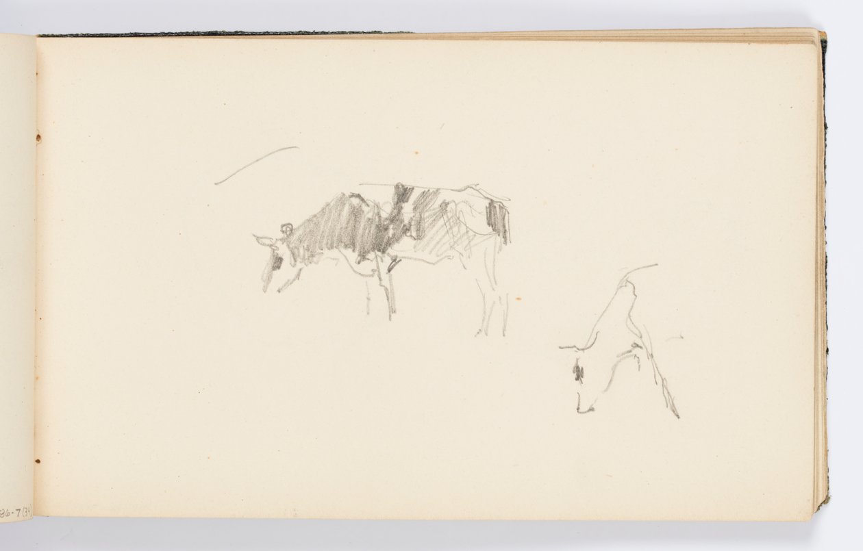 Página de cuaderno de bocetos: Vacas pastando de Kenyon Cox