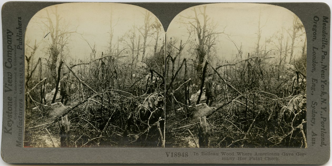 Tarjeta estereoscópica horizontal en sepia que muestra a un hombre uniformado caminando por un área cubierta de árboles destruidos. Número de estereografía de Keystone V18948. El título dice de Keystone View Company