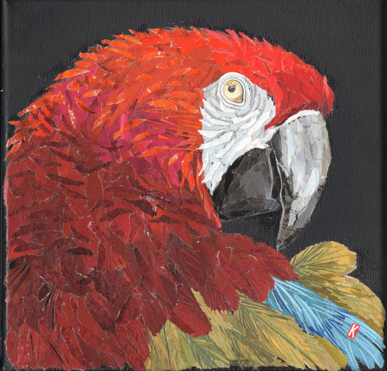 Guacamayo rojo de Kirstie Adamson