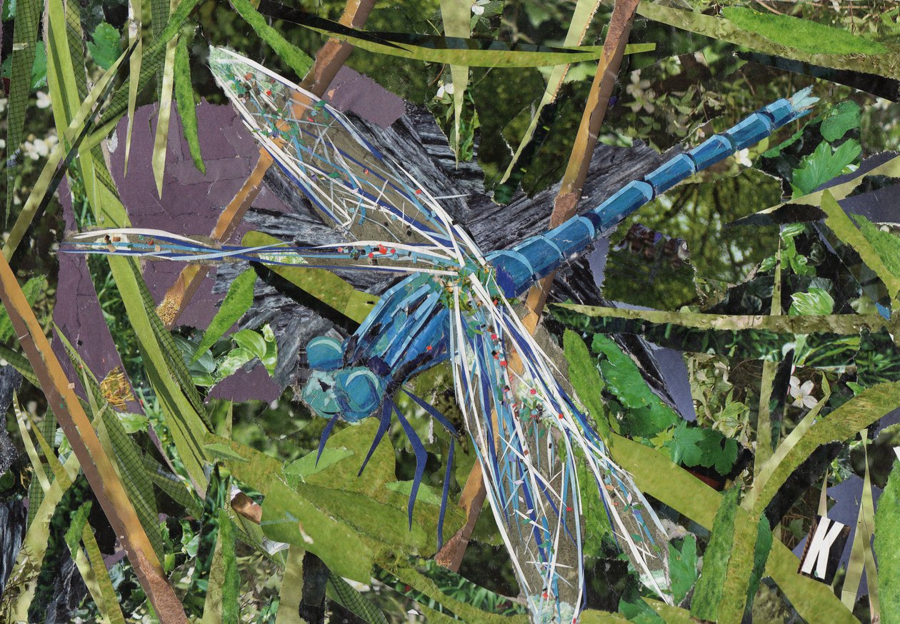 Libélula azul de Kirstie Adamson