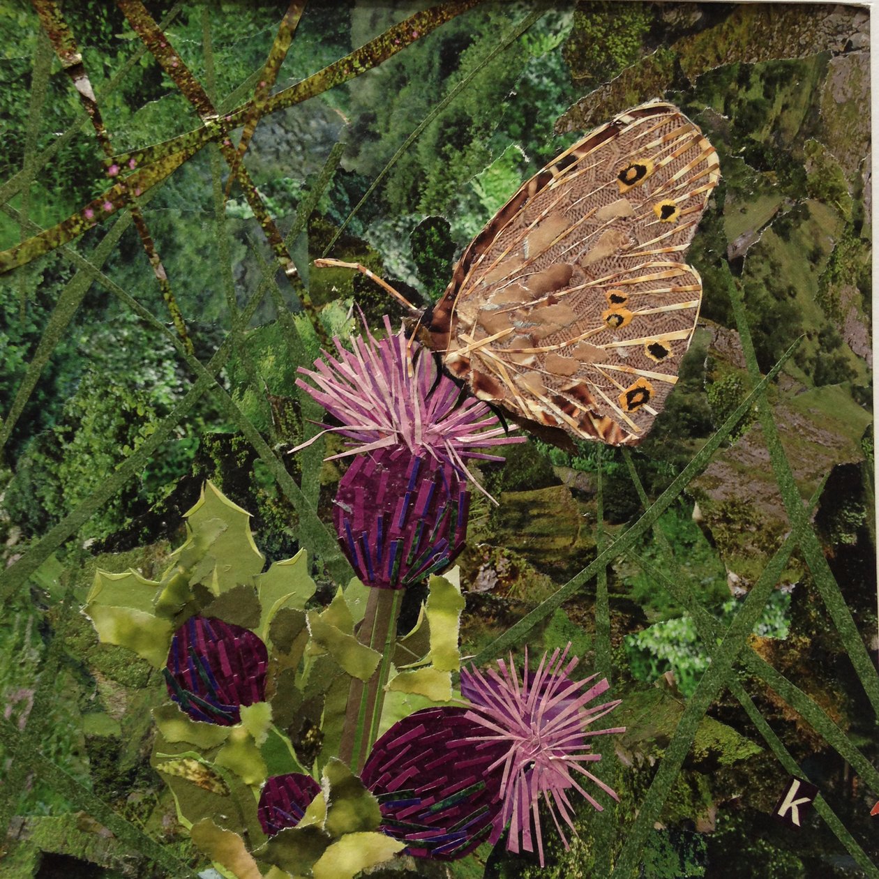 Flit - Mariposa sátiro en cardo de Kirstie Adamson