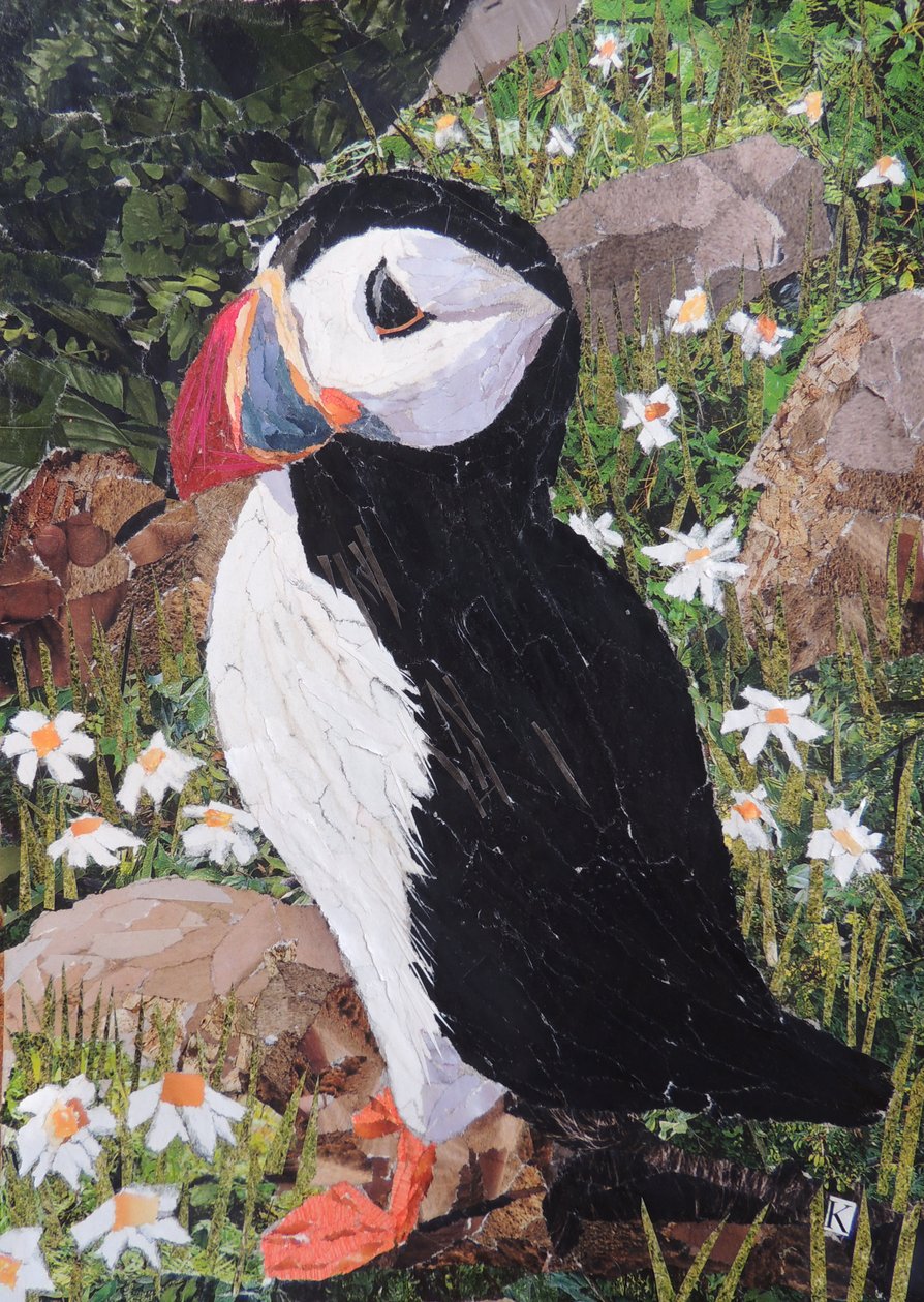 Frailecillo de Kirstie Adamson