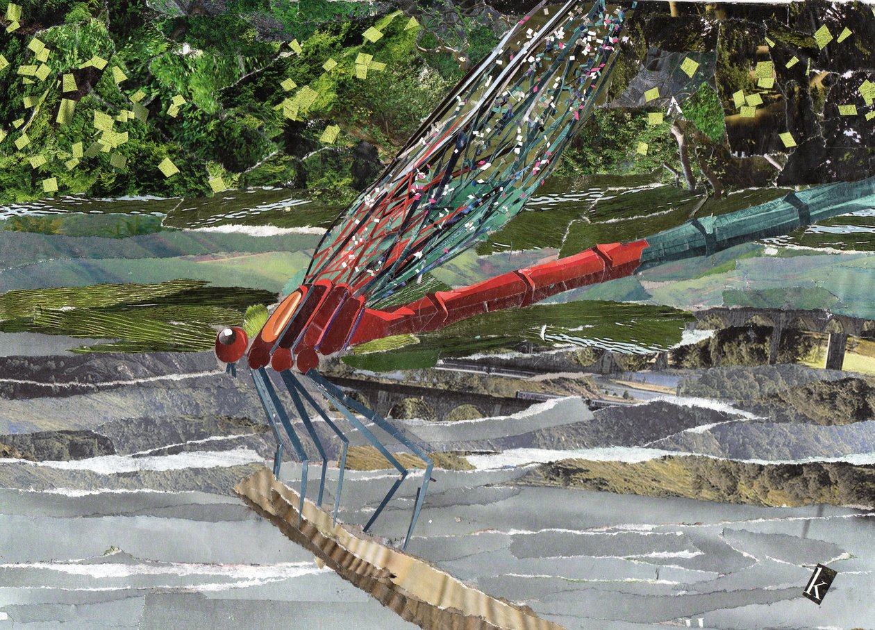 Libélula roja de Kirstie Adamson