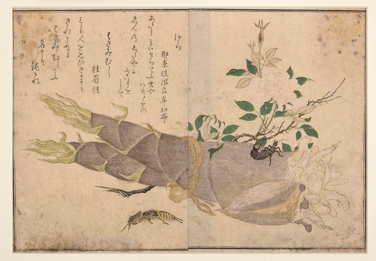Tijereta y grillo topo, 1788 de Kitagawa Utamaro