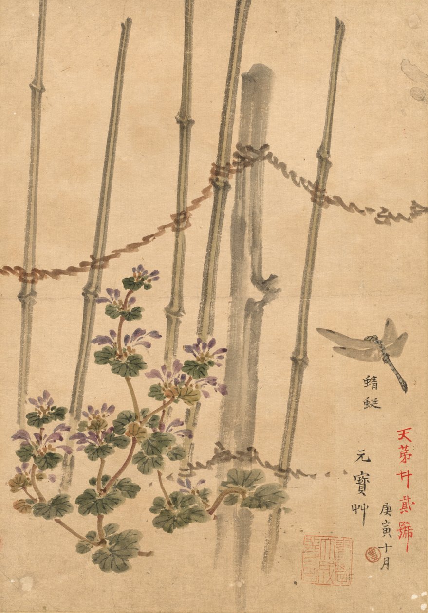 Bamboo Fence and Chrysanthemums de Kono Bairei
