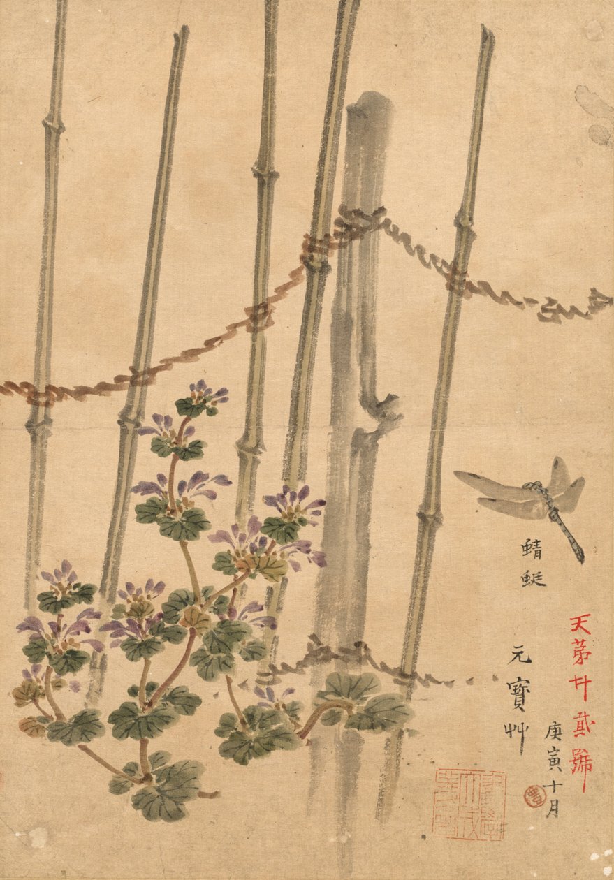 Cerca de bambú y crisantemos, c. 1890 de Kono Bairei