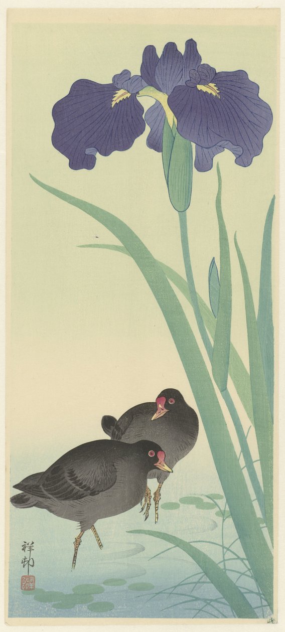 Gallinas de mar y lirios (xilografía en color) de Ohara Koson
