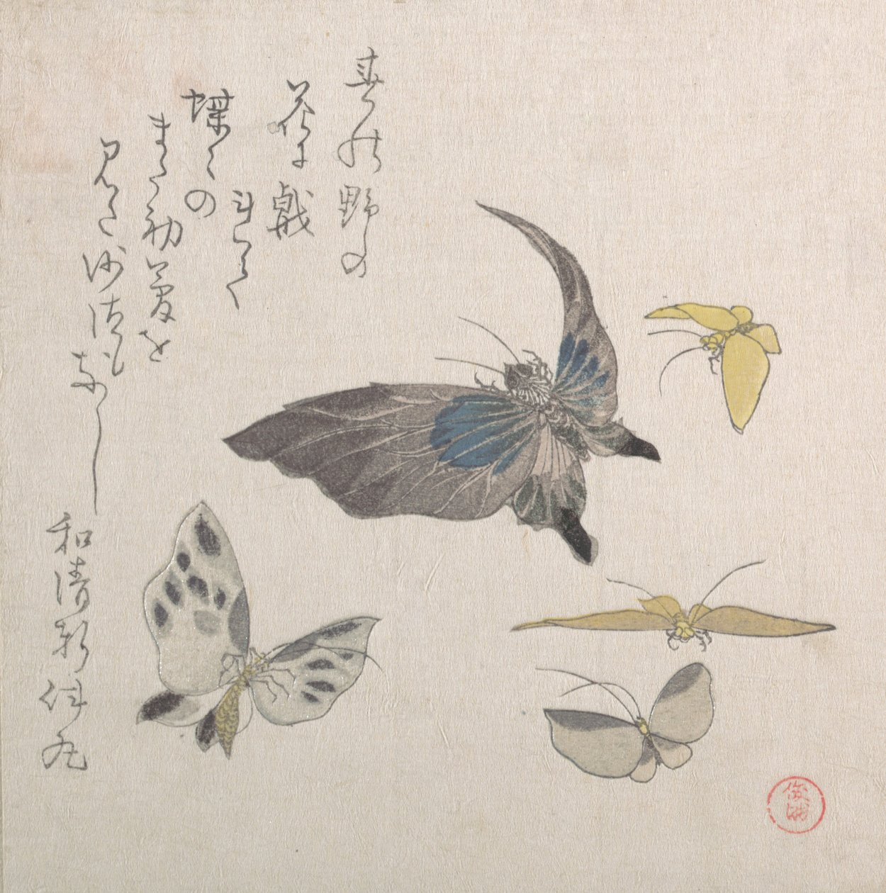 Mariposas, siglo XIX de Kubo Shunman