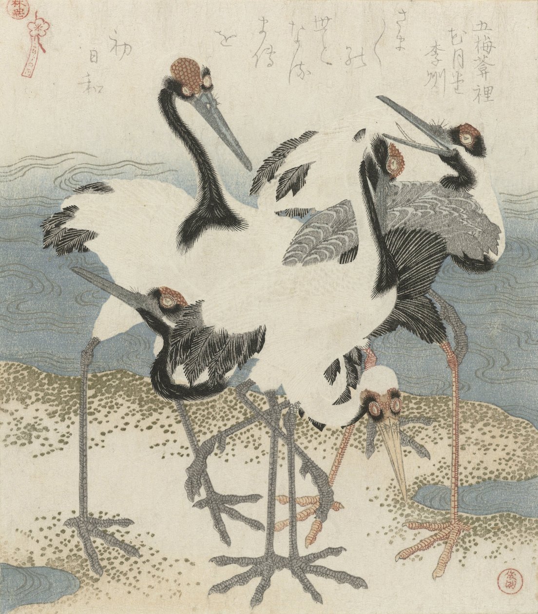 Grullas junto al agua, c.1816 de Kubo Shunman
