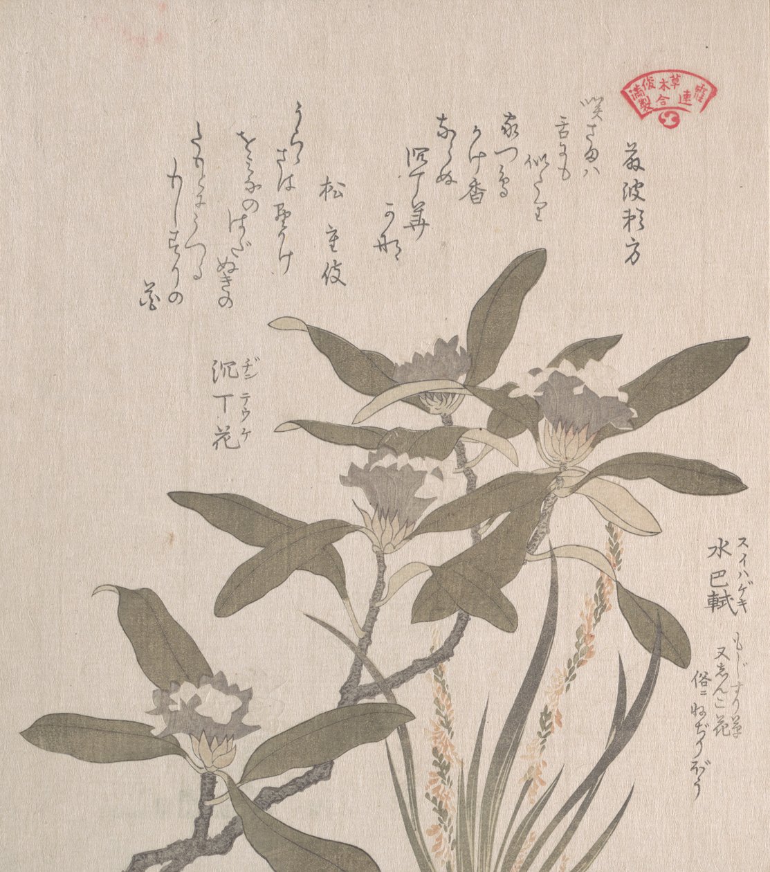 Daphne odora y Mojisuri-so, siglo XIX de Kubo Shunman